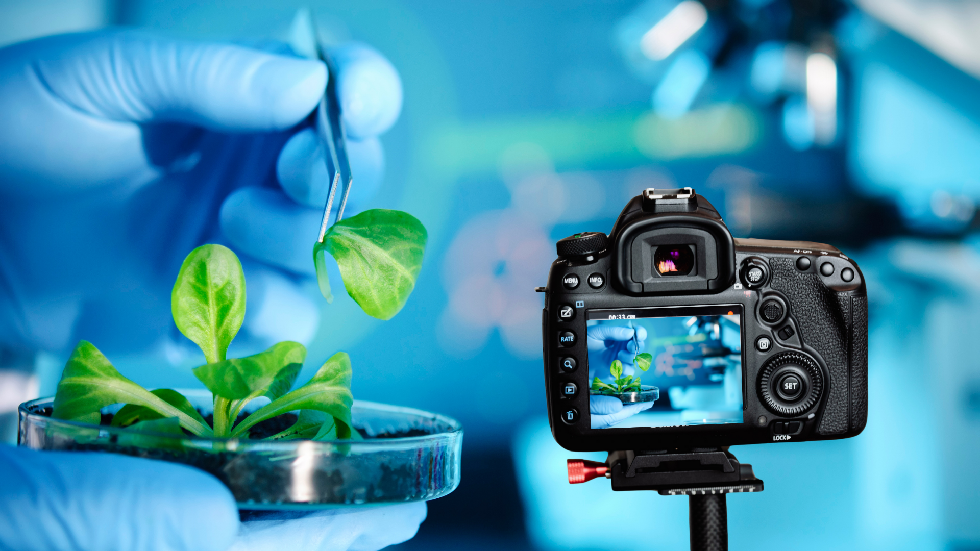 Video Tutorials